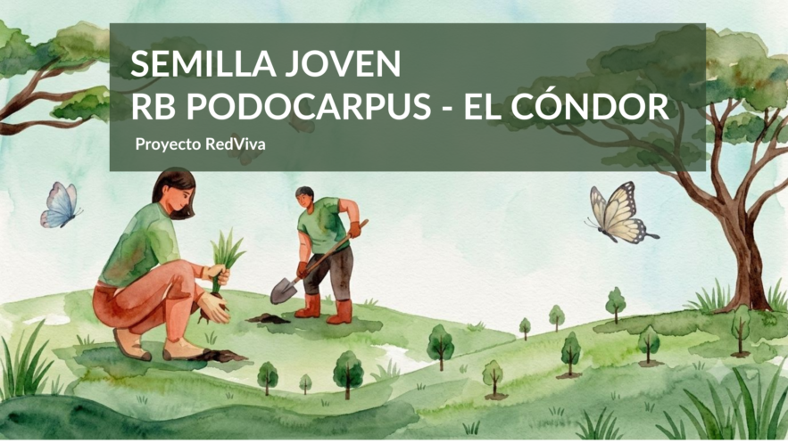 Proyecto “Guardianes de la Sabiduría Verde”, ganadores del Fondo Semilla Joven en la Reserva de Biosfera (RB) Podocarpus - El Cóndor