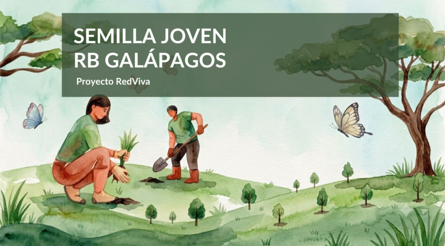 Proyecto “ExplorArte Galápagos”, ganadores del Fondo Semilla Joven en la Reserva de Biosfera (RB) Galápagos