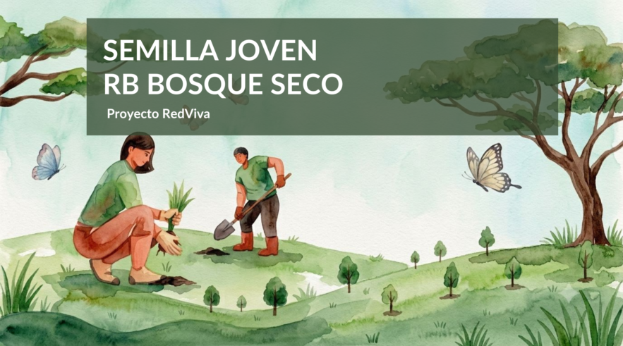 Proyecto “Alas del Bosque Seco: Avifauna” , Ganador del Fondo Semilla Jóven en RB Bosque Seco
