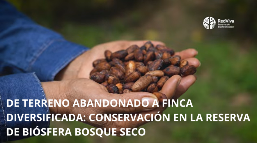 De terreno abandonado a finca diversificada: conservación en la Reserva de Biósfera Bosque Seco
